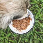 Renal - Image 8