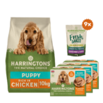 Puppy Starter Pack - Image 2