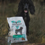 Hypoallergenic - Image 8