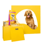Bowl Lickin' Goodness Chicken Dry Dog Food - All Hounder - Image 29