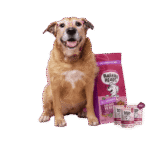 Bowl Lickin' Goodness Chicken Dry Dog Food - All Hounder - Image 30