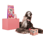 Bowl Lickin' Goodness Chicken Dry Dog Food - All Hounder - Image 31