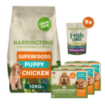 Superfoods Puppy Starter Pack